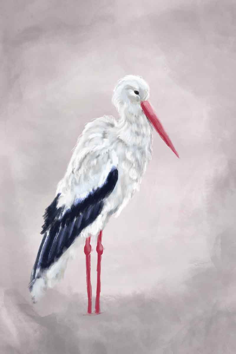 Illustration d'une cigogne par Sophie Moedbeck