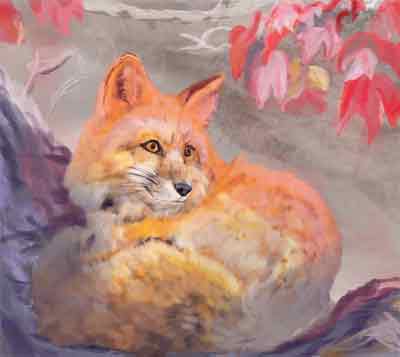 Illustration d'un renard par Sophie Moedbeck