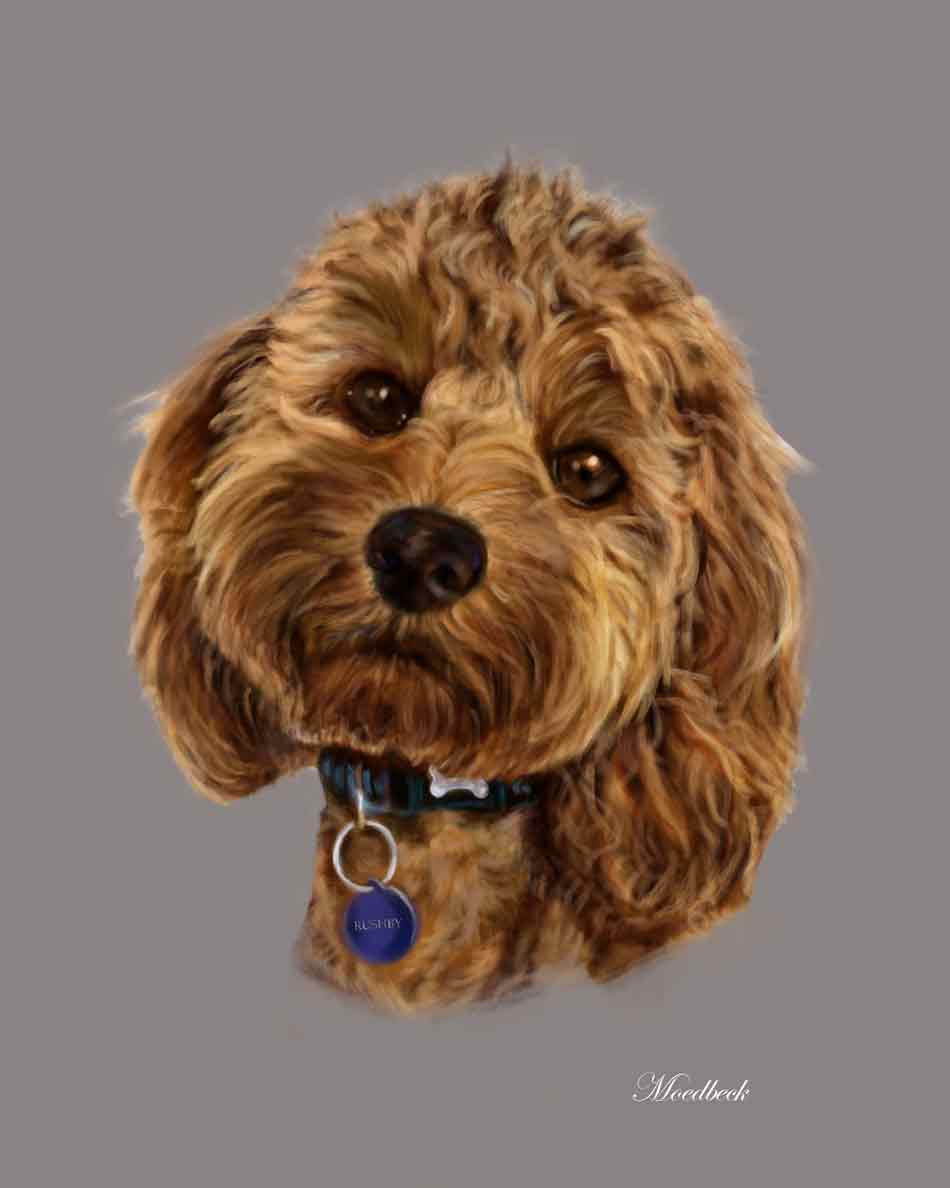 Dog portrait by Sophie Moedbeck